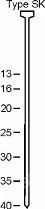 Гвозди с потайной головкой тип SN 116 NK 16мм 1000шт SCHNEIDER C 520012